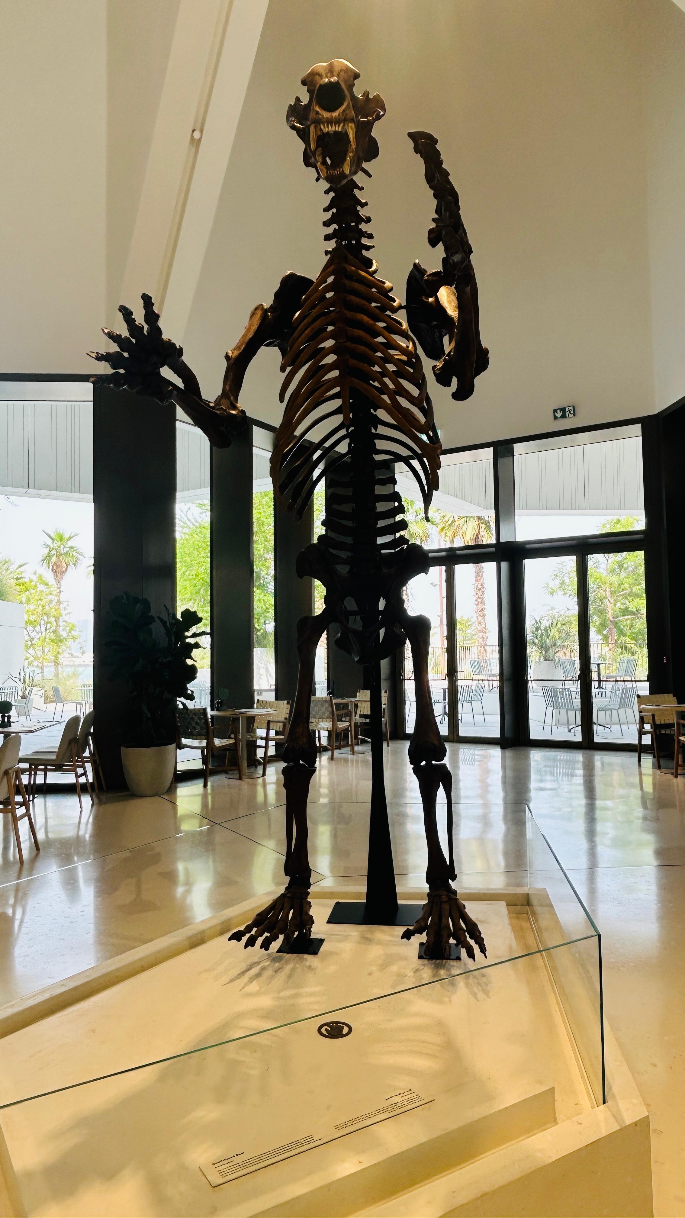 Standing beneath one of the museum's giant dinosaur skeletons.